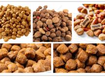 Classification des aliments pour chiens