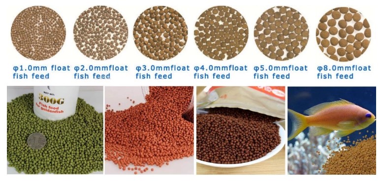 fish feed sample 2.JPG