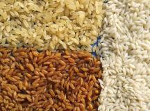 Fabricant de la ligne de production de riz nutritionnel