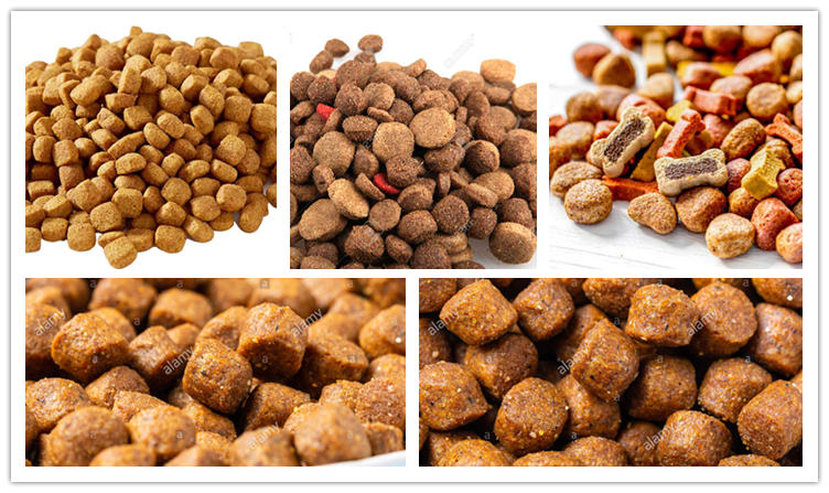 dog food1.jpg